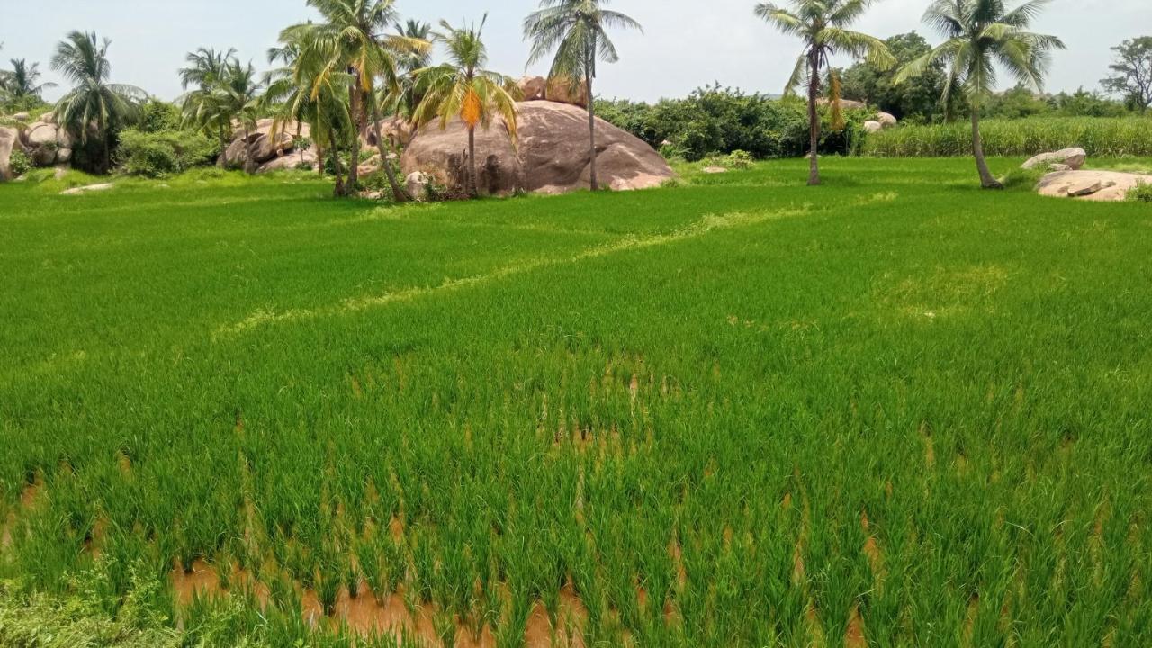 Gopi Plantation Homestay Hampi Exteriér fotografie